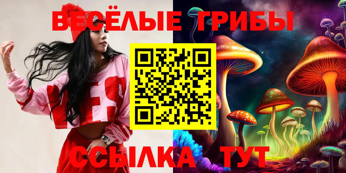 Галлюциногенные грибы прущие грибы  Вход с VPN  Великие Луки 