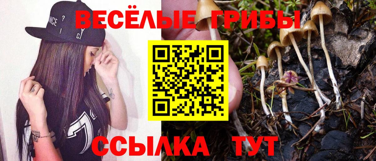 Псилоцибиновые грибы ЛСД Великие Луки